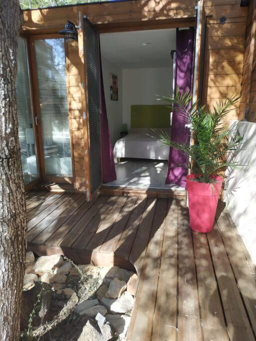 Апартаменти Studio Jacuzzi Prive A 8 Min A Pied De La Plage Ла-Сьйота Екстер'єр фото